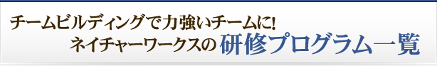 チームビルディングで力強いチームに！ネイチャーワークスの研修プログラム一覧